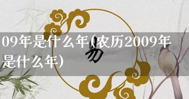 09年是什么年(农历2009年是什么年)_https://www.nbtfsb.com_五行风水_第1张
