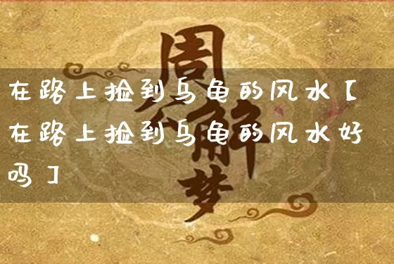 在路上捡到乌龟的风水【在路上捡到乌龟的风水好吗】_https://www.nbtfsb.com_周公解梦_第1张