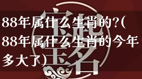 88年属什么生肖的?(88年属什么生肖的今年多大了)_https://www.nbtfsb.com_易经起名_第1张