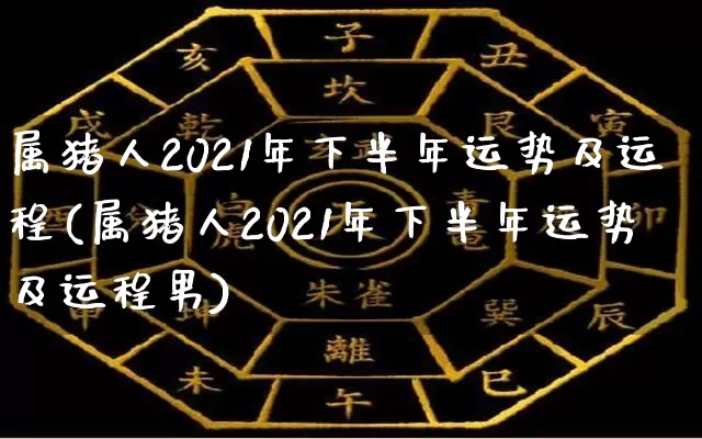 属猪人2021年下半年运势及运程(属猪人2021年下半年运势及运程男)_https://www.nbtfsb.com_易经起名_第1张