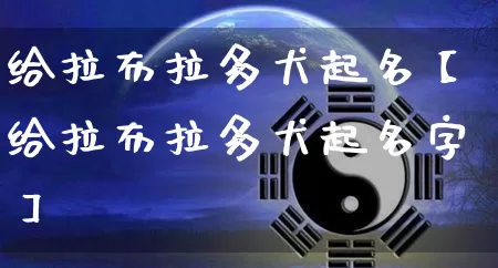 给拉布拉多犬起名【给拉布拉多犬起名字】_https://www.nbtfsb.com_周公解梦_第1张