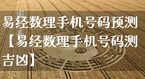 易经数理手机号码预测【易经数理手机号码测吉凶】_https://www.nbtfsb.com_生肖星座_第1张