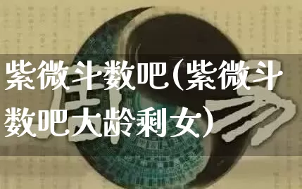紫微斗数吧(紫微斗数吧大龄剩女)_https://www.nbtfsb.com_易经起名_第1张
