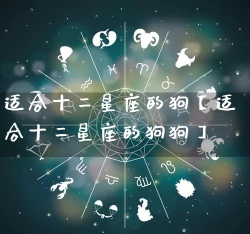 适合十二星座的狗【适合十二星座的狗狗】_https://www.nbtfsb.com_生肖星座_第1张