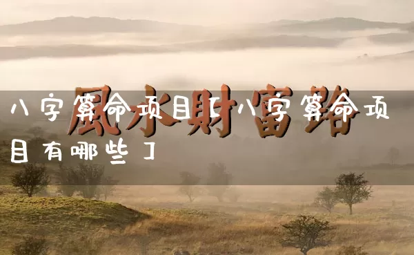 八字算命项目【八字算命项目有哪些】_https://www.nbtfsb.com_道源国学_第1张