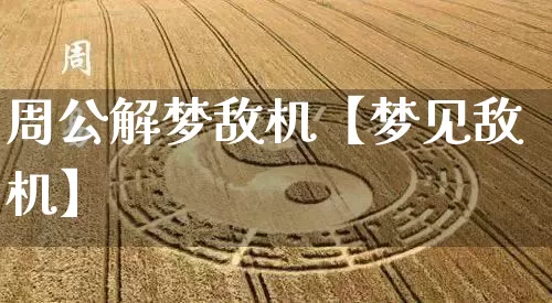周公解梦敌机【梦见敌机】_https://www.nbtfsb.com_周公解梦_第1张
