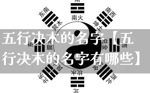 五行决木的名字【五行决木的名字有哪些】_五行风水_第1张_易东行 五行决木的名字【五行决木的名字有哪些】_https://www.nbtfsb.com_五行风水_第1张