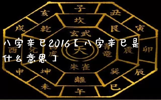 八字辛巳2016【八字辛巳是什么意思】_https://www.nbtfsb.com_道源国学_第1张