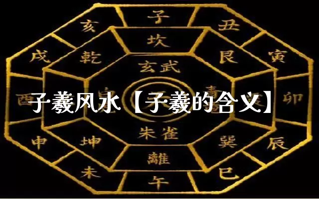 子羲风水【子羲的含义】_https://www.nbtfsb.com_八字算命_第1张