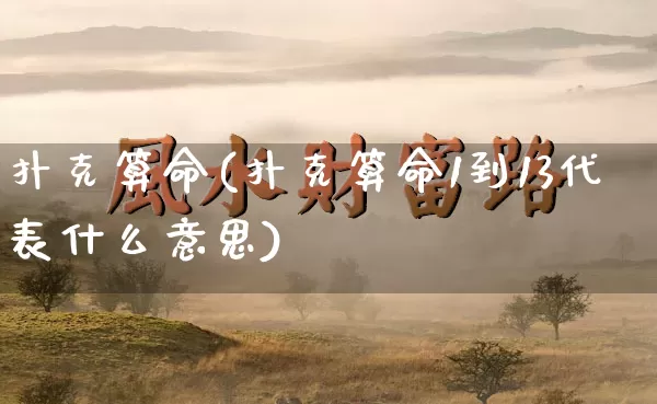 扑克算命(扑克算命1到13代表什么意思)_https://www.nbtfsb.com_易经起名_第1张