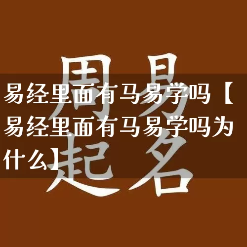 易经里面有马易学吗【易经里面有马易学吗为什么】_https://www.nbtfsb.com_五行风水_第1张