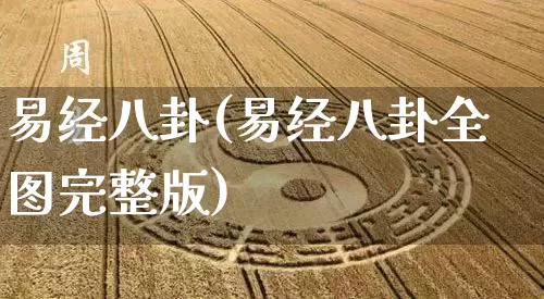 易经八卦(易经八卦全图完整版)_https://www.nbtfsb.com_国学动态_第1张