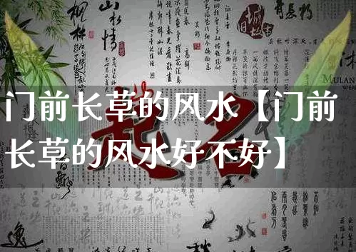 门前长草的风水【门前长草的风水好不好】_https://www.nbtfsb.com_八字算命_第1张