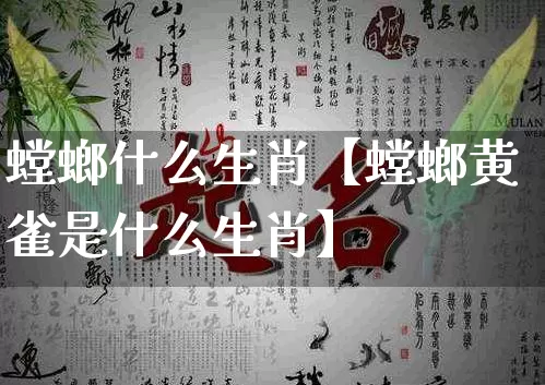 螳螂什么生肖【螳螂黄雀是什么生肖】_https://www.nbtfsb.com_生肖星座_第1张