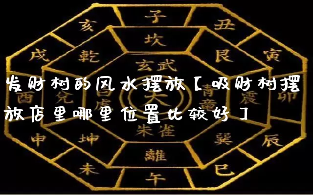 发财树的风水摆放【吸财树摆放店里哪里位置比较好】_https://www.nbtfsb.com_道源国学_第1张