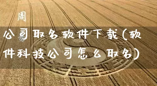 公司取名软件下载(软件科技公司怎么取名)_https://www.nbtfsb.com_五行风水_第1张