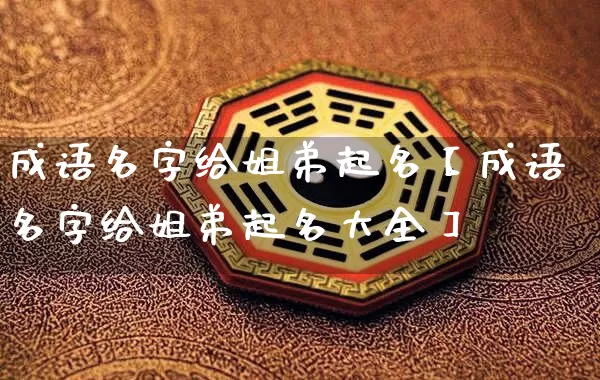 成语名字给姐弟起名【成语名字给姐弟起名大全】_https://www.nbtfsb.com_国学动态_第1张