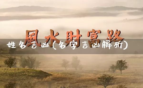姓名吉凶(名字吉凶解析)_https://www.nbtfsb.com_五行风水_第1张