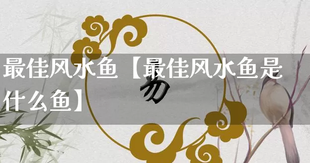 最佳风水鱼【最佳风水鱼是什么鱼】_https://www.nbtfsb.com_八字算命_第1张