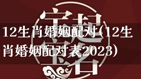 12生肖婚姻配对(12生肖婚姻配对表2023)_https://www.nbtfsb.com_国学动态_第1张
