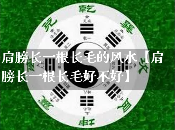 肩膀长一根长毛的风水【肩膀长一根长毛好不好】_https://www.nbtfsb.com_五行风水_第1张