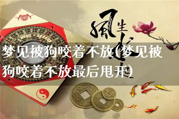 梦见被狗咬着不放(梦见被狗咬着不放最后甩开)_https://www.nbtfsb.com_周公解梦_第1张
