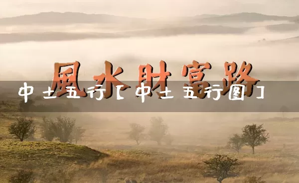 中土五行【中土五行图】_https://www.nbtfsb.com_生肖星座_第1张