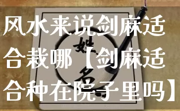 风水来说剑麻适合栽哪【剑麻适合种在院子里吗】_https://www.nbtfsb.com_周公解梦_第1张