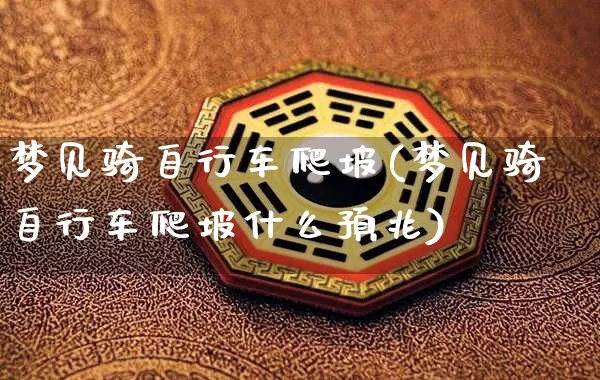 梦见骑自行车爬坡(梦见骑自行车爬坡什么预兆)_https://www.nbtfsb.com_周公解梦_第1张