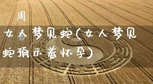 女人梦见蛇(女人梦见蛇预示着怀孕)_https://www.nbtfsb.com_易经起名_第1张