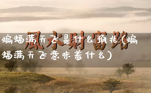 蝙蝠满天飞是什么预兆(蝙蝠满天飞意味着什么)_https://www.nbtfsb.com_五行风水_第1张
