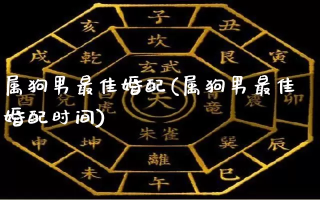 属狗男最佳婚配(属狗男最佳婚配时间)_https://www.nbtfsb.com_国学动态_第1张