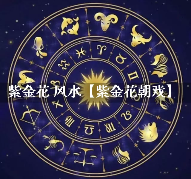 紫金花 风水【紫金花朝戏】_https://www.nbtfsb.com_道源国学_第1张