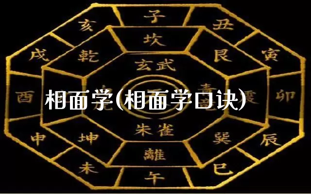 相面学(相面学口诀)_https://www.nbtfsb.com_国学动态_第1张