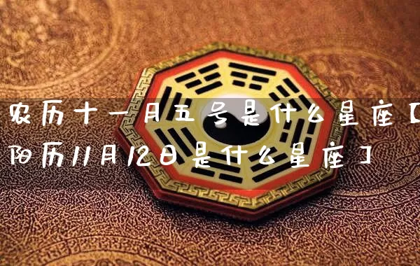 农历十一月五号是什么星座【阳历11月12日是什么星座】_https://www.nbtfsb.com_国学动态_第1张