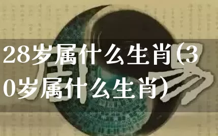 28岁属什么生肖(30岁属什么生肖)_https://www.nbtfsb.com_易经起名_第1张