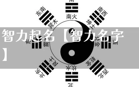 智力起名【智力名字】_https://www.nbtfsb.com_易经起名_第1张