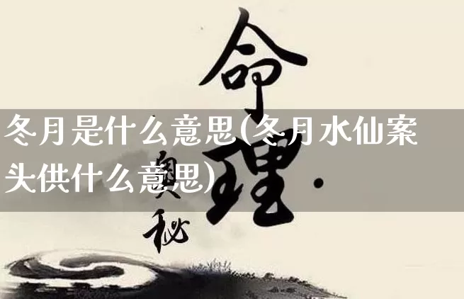 冬月是什么意思(冬月水仙案头供什么意思)_https://www.nbtfsb.com_生肖星座_第1张