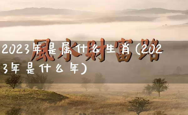2023年是属什么生肖(2023年是什么年)_https://www.nbtfsb.com_周公解梦_第1张