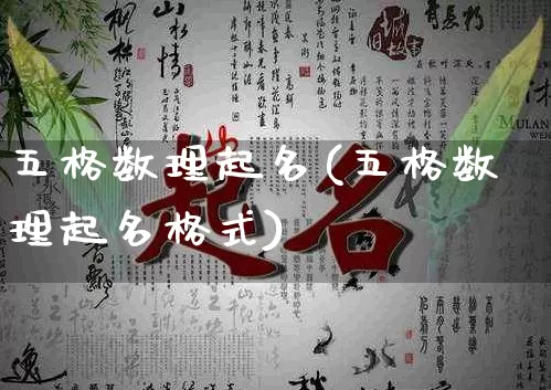 五格数理起名(五格数理起名格式)_https://www.nbtfsb.com_国学动态_第1张