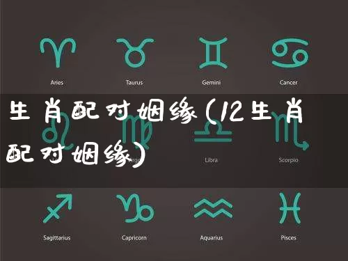 生肖配对姻缘(12生肖配对姻缘)_https://www.nbtfsb.com_国学动态_第1张