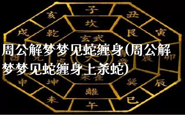 周公解梦梦见蛇缠身(周公解梦梦见蛇缠身上杀蛇)_https://www.nbtfsb.com_生肖星座_第1张