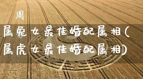 属兔女最佳婚配属相(属虎女最佳婚配属相)_https://www.nbtfsb.com_八字算命_第1张