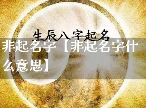 非起名字【非起名字什么意思】_https://www.nbtfsb.com_道源国学_第1张