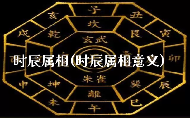 时辰属相(时辰属相意义)_https://www.nbtfsb.com_易经起名_第1张