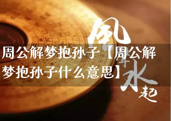 周公解梦抱孙子【周公解梦抱孙子什么意思】_https://www.nbtfsb.com_易经起名_第1张