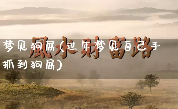 梦见狗屎(过年梦见自己手抓到狗屎)_https://www.nbtfsb.com_国学动态_第1张