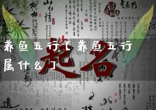 养鱼五行【养鱼五行属什么】_https://www.nbtfsb.com_道源国学_第1张