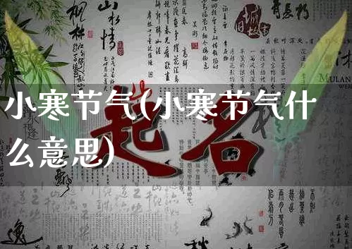 小寒节气(小寒节气什么意思)_https://www.nbtfsb.com_国学动态_第1张