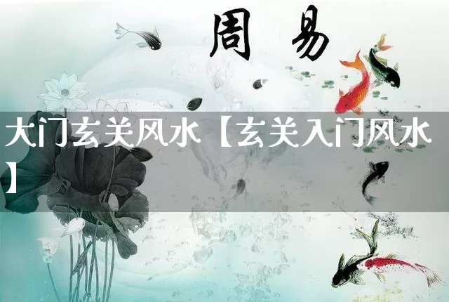 大门玄关风水【玄关入门风水】_https://www.nbtfsb.com_周公解梦_第1张